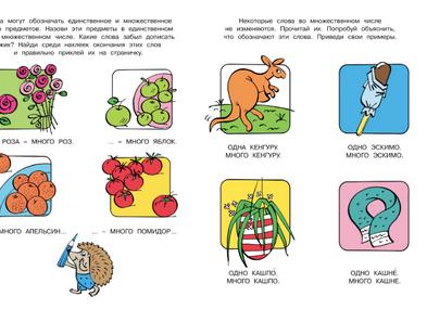 5 слов во множественном числе: не ошибитесь в окончании