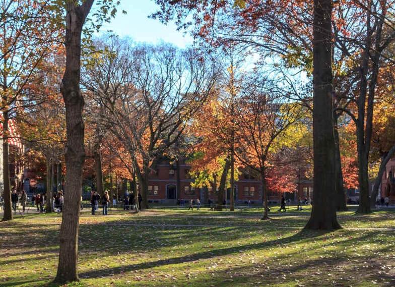 Стипендии на магистратуру: как повысить свои шансы?