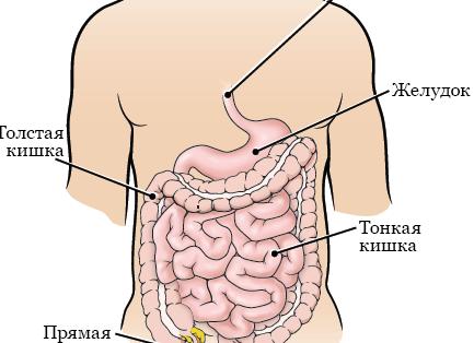 Ваша грамотность в Полном Порядке, если напишете 15 слов на букву 