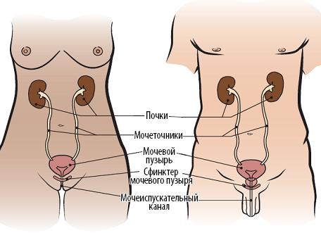 Руль по цене квартиры! Как нас лишали автомобилей