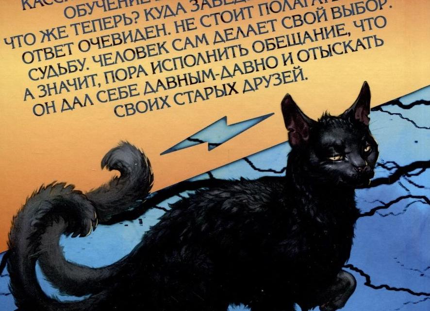 Дистанционное образование: даёт ли оно такие же возможности для нетворкинга и карьеры?